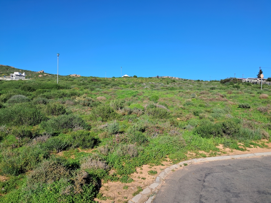 0 Bedroom Property for Sale in Steenbergs Cove Western Cape